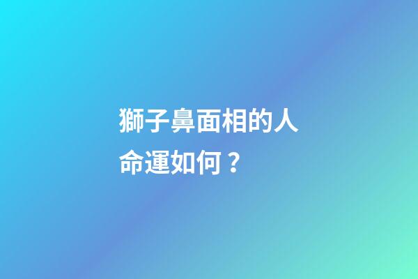 獅子鼻面相的人命運如何？